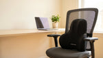 Contoured Memory Foam Lumbar Cushion